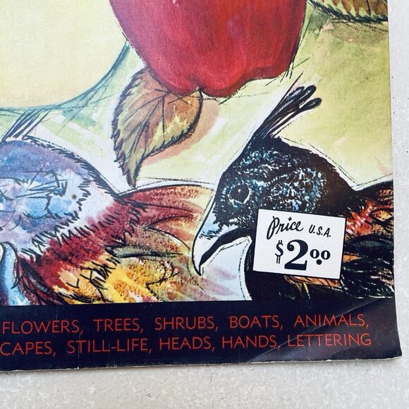 Vintage How To Draw By Walter Foster Butterflies Flowers Trees Shrubs Heads - Picture 4 of 6